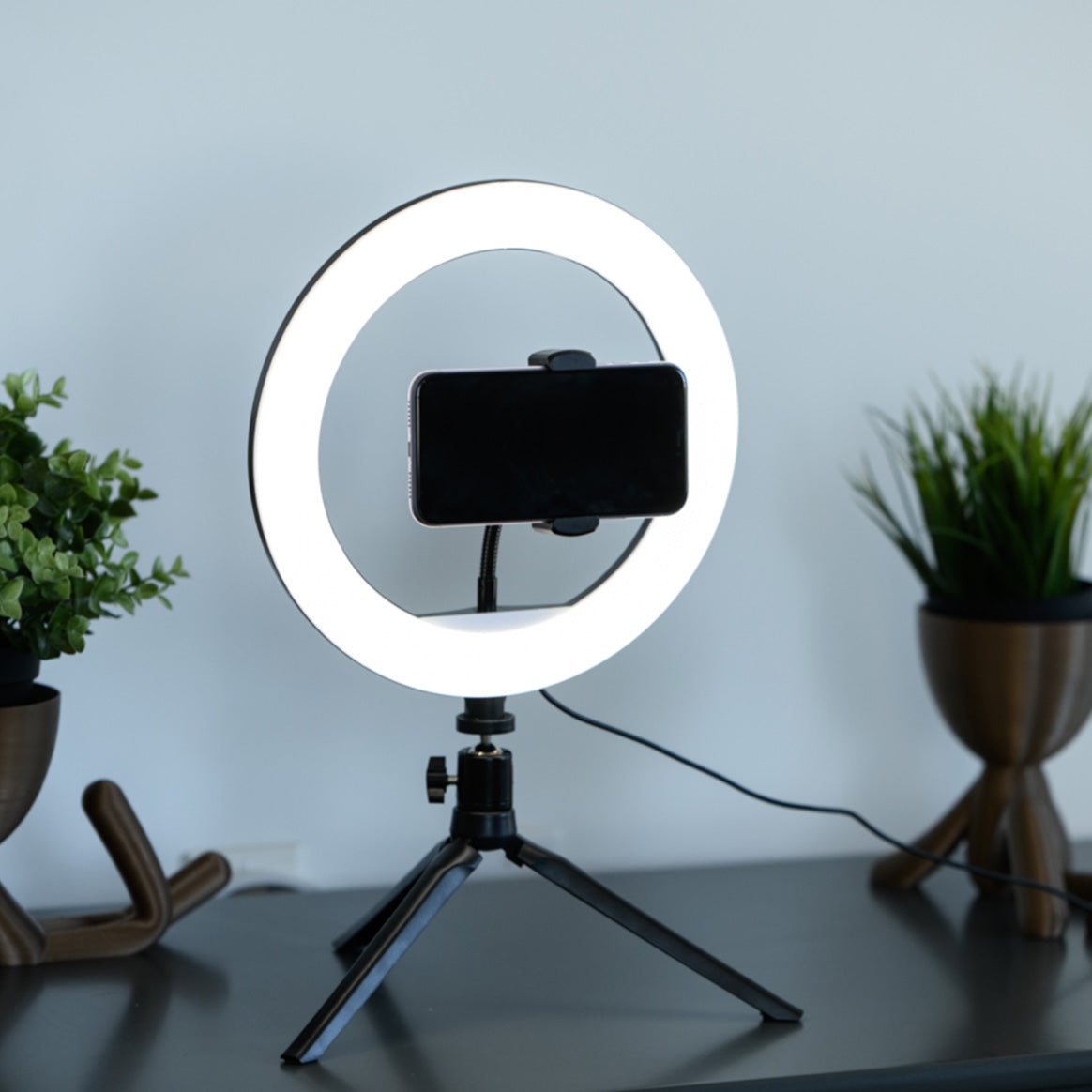 Beauty Ring Light